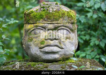 Réplique de la civilisation Olmec Sculpture, tête colossale sculptée de pierre dans la forêt. Grande statue de tête de pierre dans une jungle. Banque D'Images