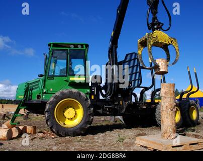 Concours de vente de bois Banque D'Images