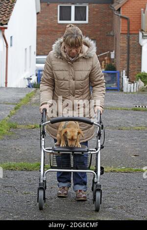 Femme avec marcheur à roulettes et chien Banque D'Images