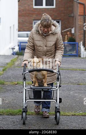 Femme avec marcheur à roulettes et chien Banque D'Images