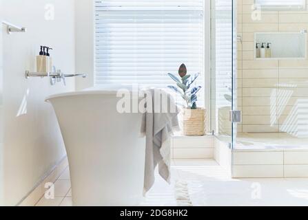 Salle de bains intérieure avec baignoire et vitrine moderne blanche et ensoleillée Banque D'Images