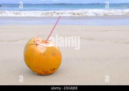 Un Trinkhalm Kokosnuss mit einem tropischen steht Strand Banque D'Images