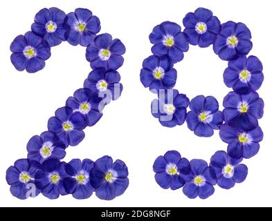 Chiffre arabe 29, vingt-neuf, à partir de fleurs bleues du lin, isolé sur fond blanc Banque D'Images