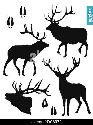 silhouettes d'un cerf avec bois, jeu d'illustrations de vecteurs, formes noires isolées sur fond blanc Illustration de Vecteur