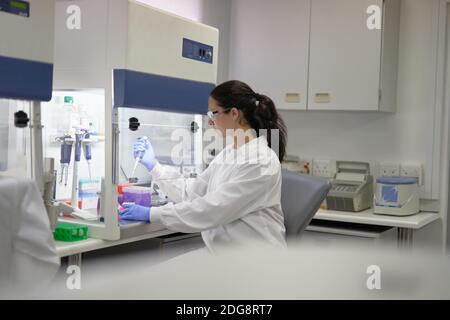 Scientifique féminin avec pipette travaillant à la hotte d'aspiration en laboratoire Banque D'Images