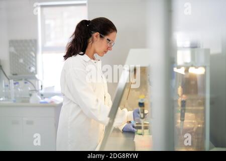 Femme scientifique travaillant à la hotte d'aspiration en laboratoire Banque D'Images