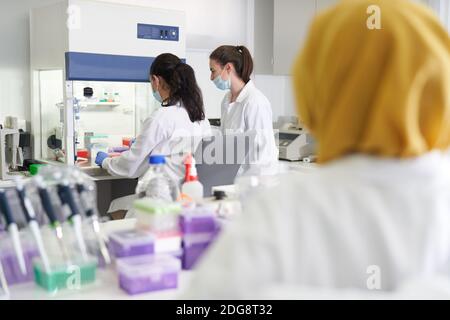 Femmes scientifiques travaillant à la hotte d'aspiration en laboratoire Banque D'Images