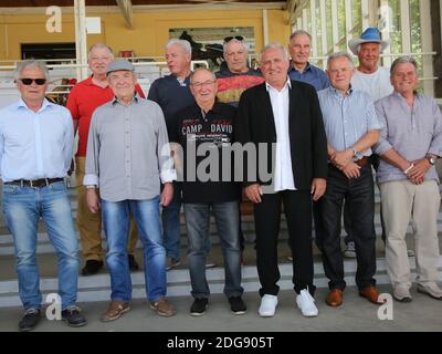 Vainqueur de l'équipe coupe d'Europe vainqueur de la coupe 1974 1.fc magdebourg Banque D'Images