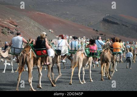 LANZAROTE, ILES CANARIES/ESPAGNE - AOÛT 8 : Caravane de chameaux transportant des touristes le long d'une route bien trodden dans le parc national de Timanfaya, Lanzarote sur UN Banque D'Images