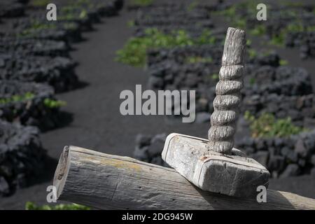 Vue partielle sur une ancienne presse à raisin en bois de Lanzarote Banque D'Images