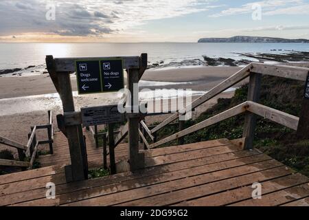 Panneau limitant les chiens à la moitié de la plage de Compton Beach, île de Wight Banque D'Images