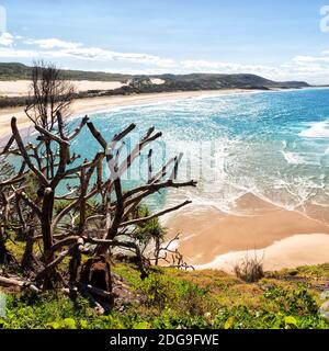 En australie, l'île de la plage, l'arbre et les rochers Banque D'Images