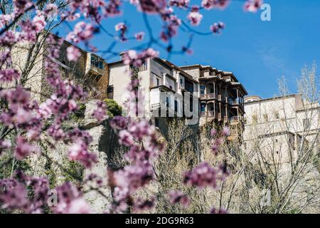 Casas Colgadas Maisons suspendues à Cuenca Espagne et fleurs Banque D'Images