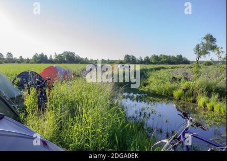 Camp touristique dans le marais, les tentes de camping dans les zones humides Banque D'Images