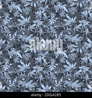 Modèle de cannabis sans couture avec des feuilles réalistes Illustration de Vecteur
