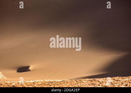 Ombres projetées par le soleil couchant sur une dune de sable dans la Valle de la Luna, la Vallée de la Lune, le désert d'Atacama, le nord du Chili, l'Amérique du Sud Banque D'Images