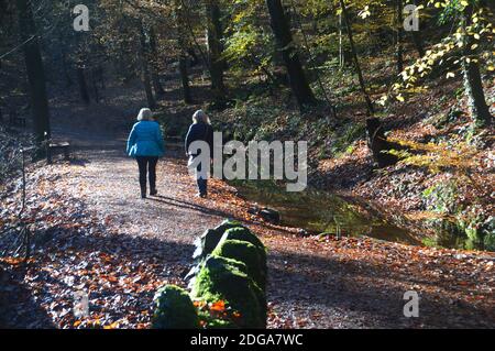 Deux femmes marchant sur un sentier entre une Sorcière et Ellar Beck à Skipton Woods, Skipton, North Yorkshire, Angleterre, Royaume-Uni. Banque D'Images