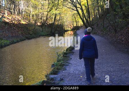 Femme avec chapeau de pompon marchant sur le sentier par Ellar Beck dans Skipton Woods, Skipton, North Yorkshire, Angleterre, Royaume-Uni. Banque D'Images