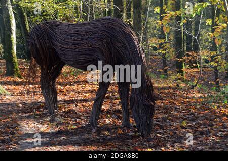 Willow Sculpture of Horse Feeding 'The stalking Horse' par Anna et The Willow, Skipton Woods, Skipton, North Yorkshire, Angleterre, Royaume-Uni. Banque D'Images