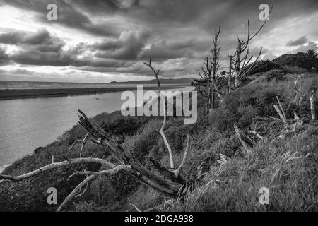 La rivière Mad, comté de Humboldt, Californie, Noir et blanc Banque D'Images