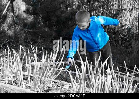 Vue en noir et blanc sur une veste enfant bleu sorcière qui travaille dans le jardin Banque D'Images