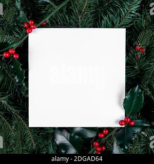 Espace de copie blanc Noël et nouvel an. Cadre en baies naturelles de Holly et branches de cône de pin. Pose à plat. Vue de dessus. Banque D'Images