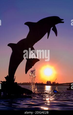 Silhouette de la statue des dauphins au Bay Front Park Sarasota Florida Banque D'Images