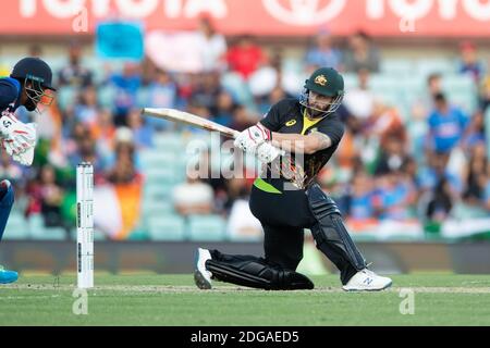 Sydney, Australie. 8 décembre 2020. Matthew Wade d'Australie joue un tir lors du 3e match de la série Dettol ODI T20I entre l'Australie et l'Inde au Sydney Cricket Ground, Sydney, Australie, le 8 décembre 2020. Photo de Peter Dovgan. Utilisation éditoriale uniquement, licence requise pour une utilisation commerciale. Aucune utilisation dans les Paris, les jeux ou les publications d'un seul club/ligue/joueur. Crédit : UK Sports pics Ltd/Alay Live News Banque D'Images