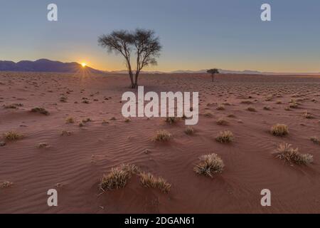 Coucher de soleil dans le désert du Namib Banque D'Images