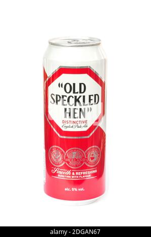 CAN of Old Speckled Hen French Pale Ale, brassé par Morland/Greene King. Il a été brassé pour la première fois en 1979 pour commémorer le 50e anniversaire des Britanniques Banque D'Images