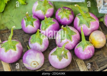 Aubergines violettes rondes fraîches à vendre sur le marché. L'aubergine (Solanum melongena) ou aubergine est une espèce de nutShade cultivée pour ses fruits comestibles. Banque D'Images