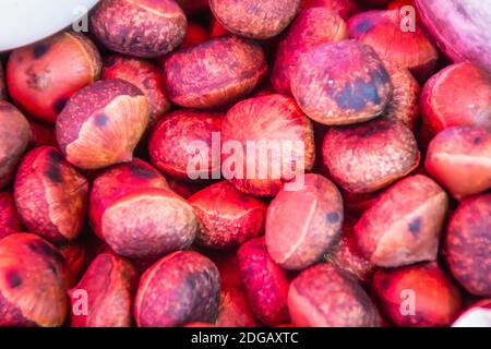 Noix de Castanea grillées thaïlandaises à vendre sur le marché local. Castanopsis inermis est également connu sous le nom de chinquapin ou chinkapin, est un genre d'arbres à feuilles persistantes b Banque D'Images