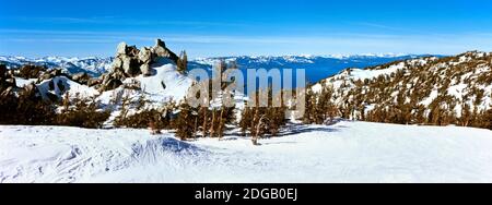 Arbres sur un paysage enneigé, Heavenly Mountain Resort, Lake Tahoe, frontière Californie-Nevada, États-Unis Banque D'Images