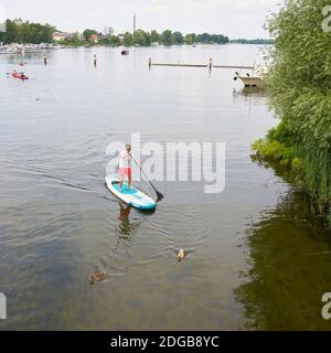 Pagayer debout sur la Havel près de Werder un pont Banque D'Images