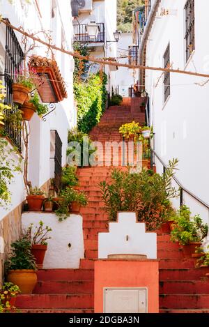 Rue étroite et décalée dans le village. Benamahoma, Grazalema, Cádiz, Andalucía, Espagne, Europe Banque D'Images