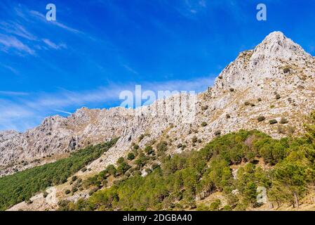 Hautes montagnes de roche calcaire au-dessus du col de la montagne d'El Boyar - Puerto del Boyar. Grazalema, Cádiz, Andalucía, Espagne, Europe Banque D'Images