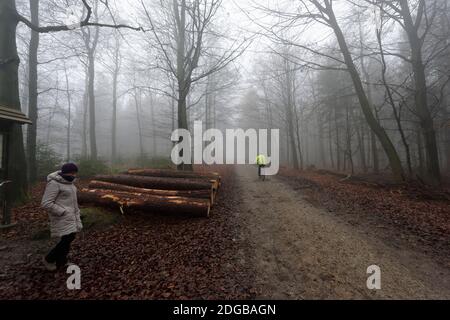 Frau im Deister Nordmannsturm. Banque D'Images