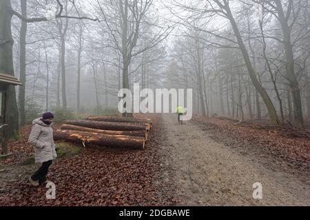 Frau im Deister Nordmannsturm. Banque D'Images