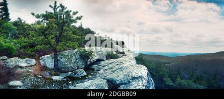 Arbres et rochers sur les nez de Gertrude, parc d'état de Minnewaska, montagnes Catskill, New York State, USA Banque D'Images