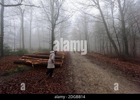 Frau im Deister Nordmannsturm. Banque D'Images