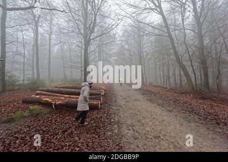 Frau im Deister Nordmannsturm. Banque D'Images