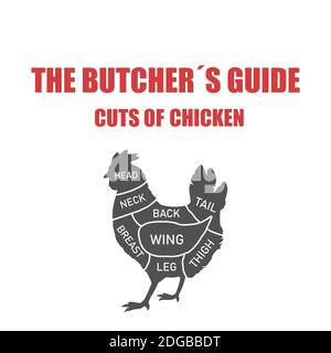 Poulet coupé de viande . Diagramme de boucher, schéma Banque D'Images