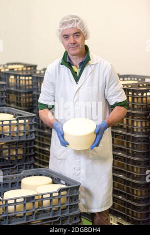 Machine à fromage montrant la roue à fromage à l'entreposage du fromage. Banque D'Images