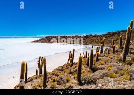 Vue sur l'île de gigantesque cactus Incahuasi dans le milieu de la surface de sel d'Uyuni Banque D'Images