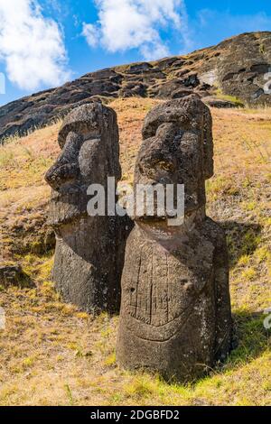 La grande statue en pierre, Moai à Rano Raraku sur l'île de Pâques ou Rapa Nui Banque D'Images