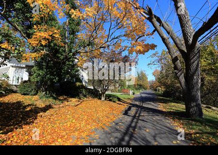 Lac St. Setauket long Island New York Banque D'Images