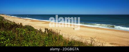 Grass on the Beach, Montauk point, Montauk, comté de Suffolk, État de New York, États-Unis Banque D'Images