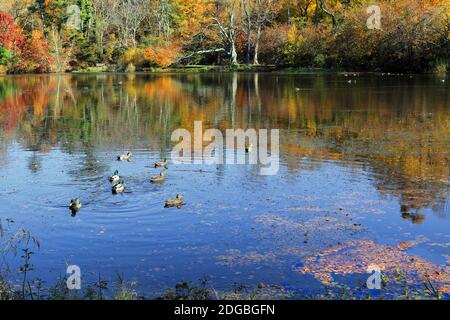 Frank Melville Memorial Park Setauket Long Island New York Banque D'Images