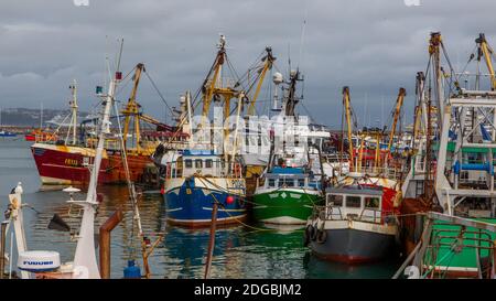 2020 chalutiers de la flotte de South Devon amarrés Port de Brixham Banque D'Images