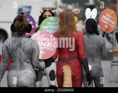 New York, États-Unis. 08 décembre 2020. Les manifestants PETA portant de la peinture pour le corps pour ressembler à des animaux tiennent des panneaux dans Times Square à New York le mardi 8 décembre 2020. Les partisans du PETA peignaient une vache, un lapin, un renard, une oie et un tigre rassemblés dans Times Square et tenaient des signes proclamant : « rejeter LA suprématie BLANCHE », « rejeter LA suprématie HÉTÉROSEXUELLE », « rejeter LA suprématie HUMAINE » et « rejeter la suprématie MASCULINE ». Photo de John Angelillo/UPI crédit: UPI/Alay Live News Banque D'Images